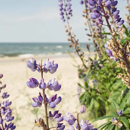 Hacienda-debina Prázdninový dům Debina (Ustka)