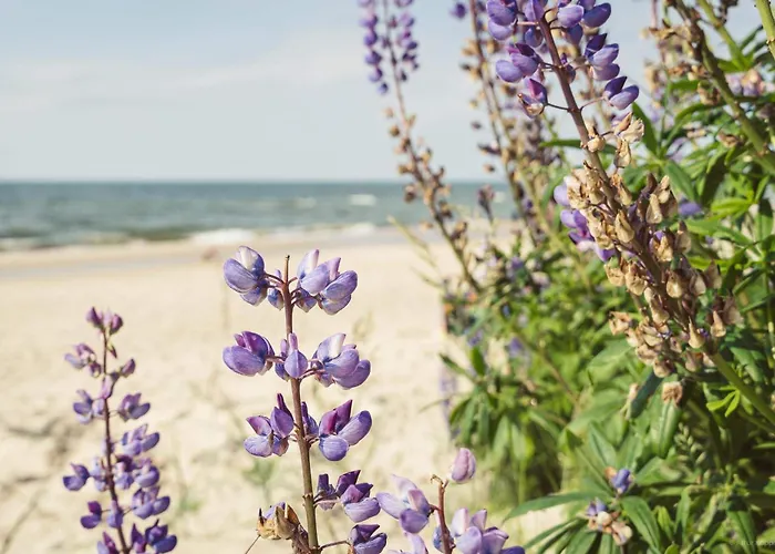 Hacienda-debina Prázdninový dům Debina (Ustka)